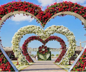 Home untitled design (5)